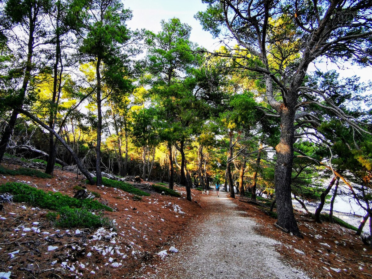 Badija, otok jelenčkovtest