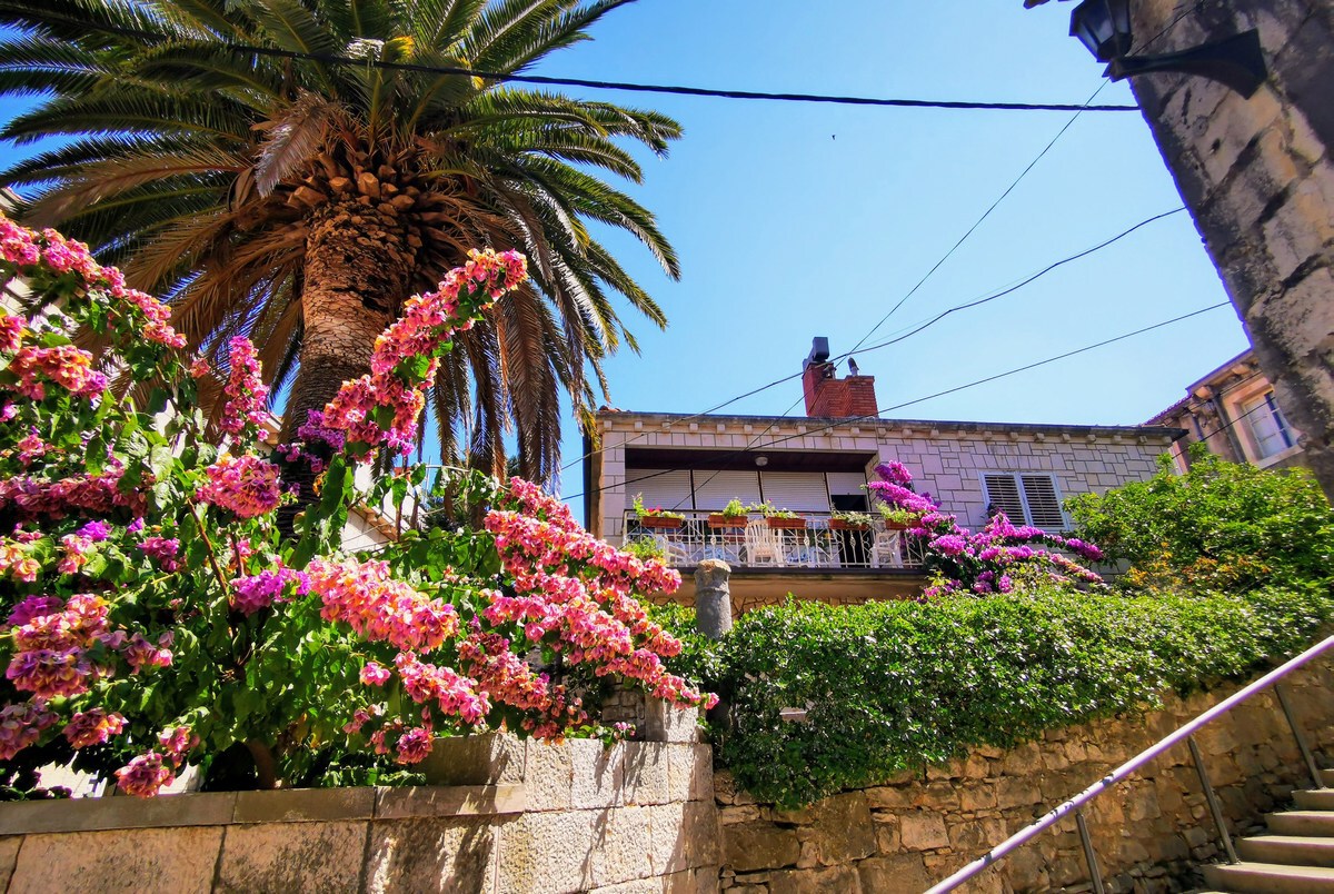 Blato, Blato na Korčulitest